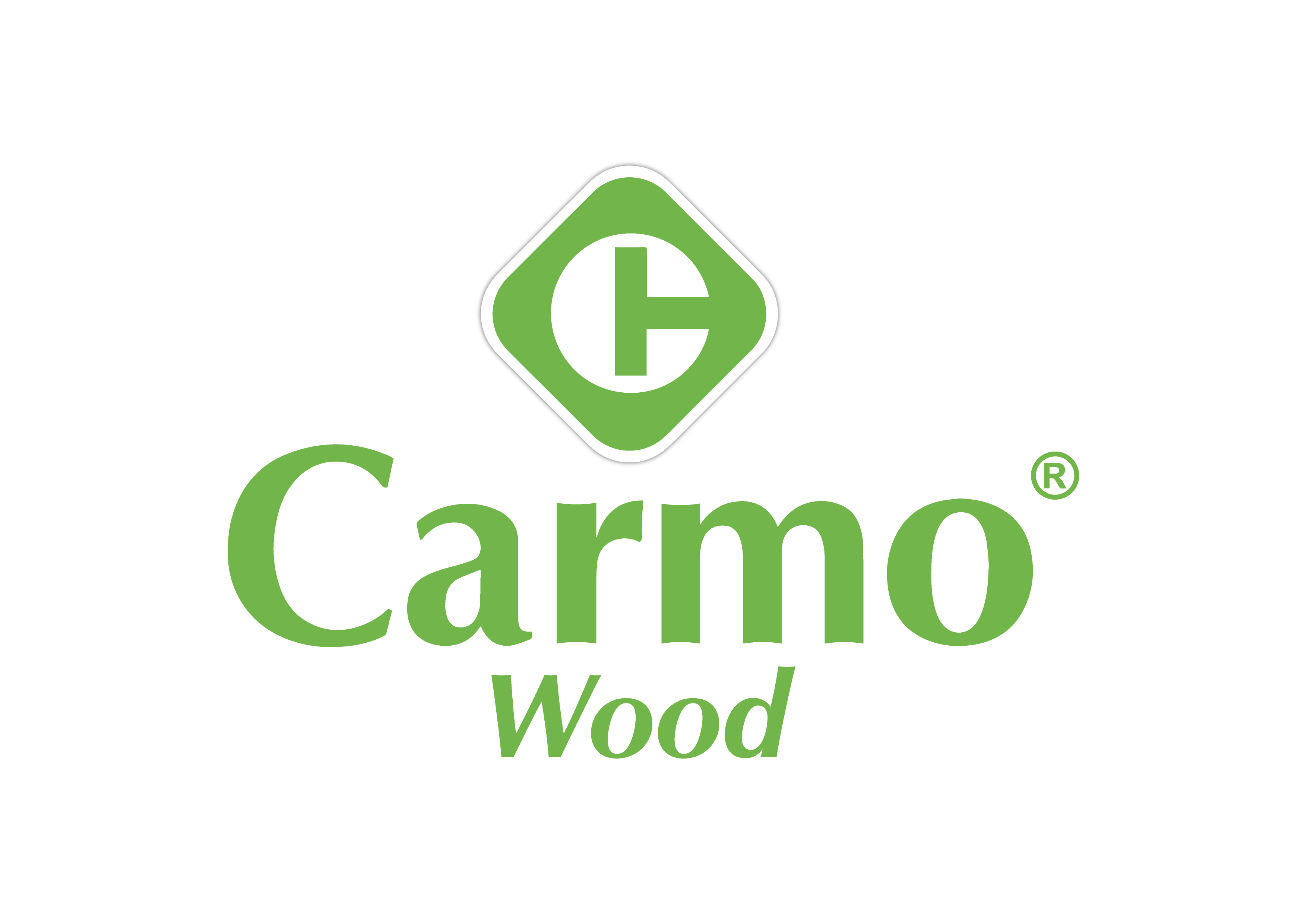 Carmo_logo_Vertical-01-2