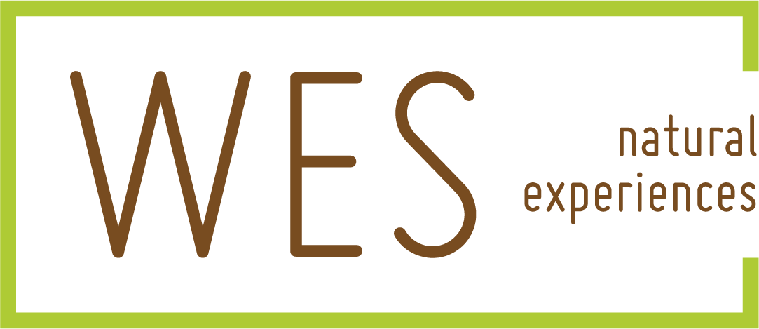 LOGO WES NATURAL-FINAL-20190410-COLOR-transp